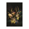 Trademark Fine Art Kurt Shaffer Photographs 'Spider orchid spray' Canvas Art, 12x19 KS01647-C1219GG